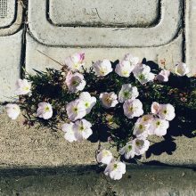 Finding Hope in an Unlikely Place