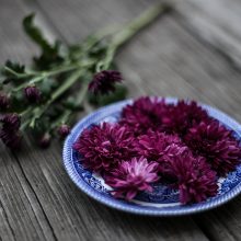 Storied Dishes