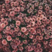 Intimacy Through Abiding