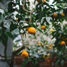 On Restlessness, Discontent, and Finding Eden